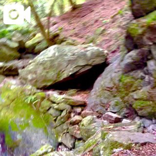 『秘密倶楽部 凛 TOKYO』錦糸町デリヘル 待ち合わせ型 人妻デリバリーヘルス純那さんの日記画像