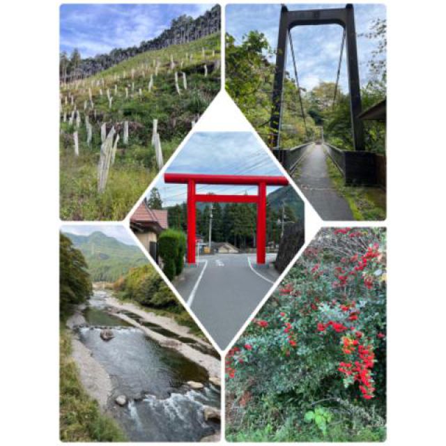 『秘密倶楽部 凛 TOKYO』錦糸町デリヘル 待ち合わせ型 人妻デリバリーヘルス純那さんの日記画像