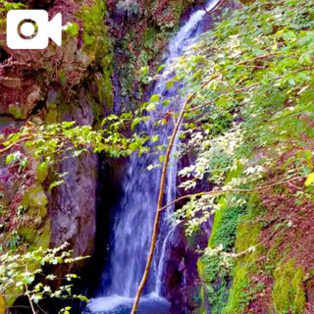 『秘密倶楽部 凛 TOKYO』錦糸町デリヘル 待ち合わせ型 人妻デリバリーヘルス純那さんの日記画像