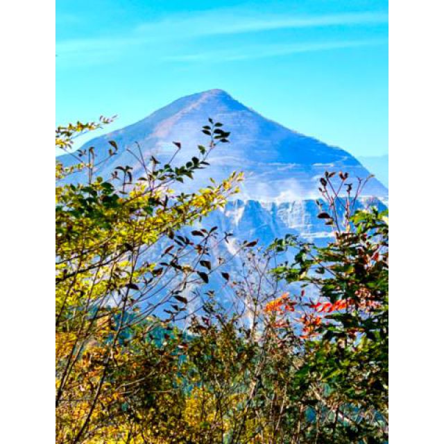 『秘密倶楽部 凛 TOKYO』錦糸町デリヘル 待ち合わせ型 人妻デリバリーヘルス純那さんの日記画像