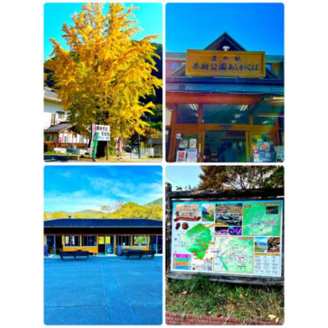 『秘密倶楽部 凛 TOKYO』錦糸町デリヘル 待ち合わせ型 人妻デリバリーヘルス純那さんの日記画像