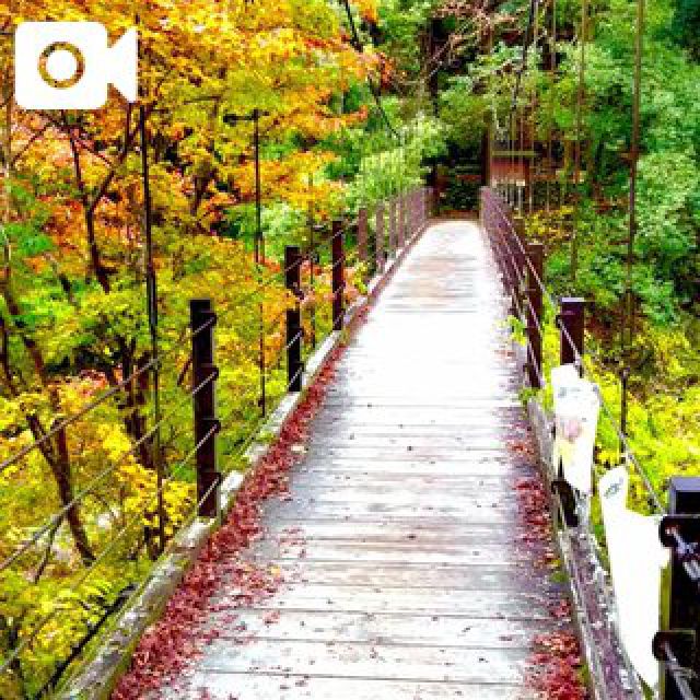 『秘密倶楽部 凛 TOKYO』錦糸町デリヘル 待ち合わせ型 人妻デリバリーヘルス純那さんの日記画像