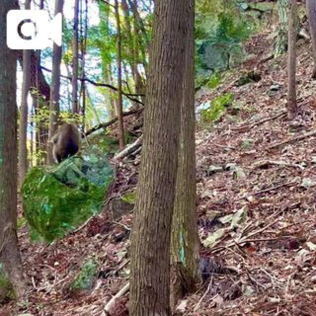 『秘密倶楽部 凛 TOKYO』錦糸町デリヘル 待ち合わせ型 人妻デリバリーヘルス純那さんの日記画像