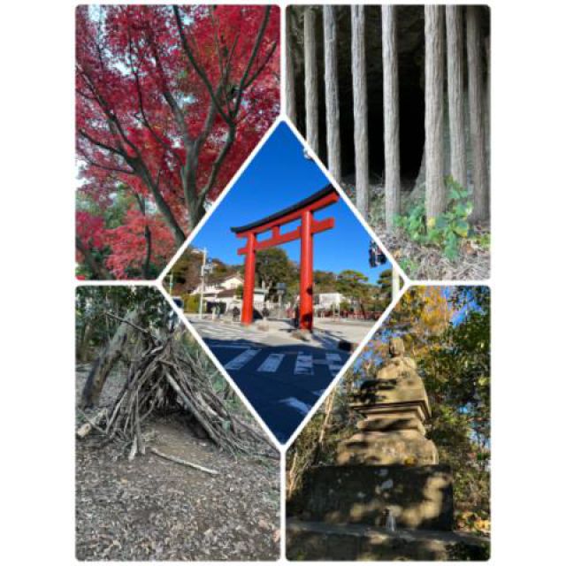 『秘密倶楽部 凛 TOKYO』錦糸町デリヘル 待ち合わせ型 人妻デリバリーヘルス純那さんの日記画像