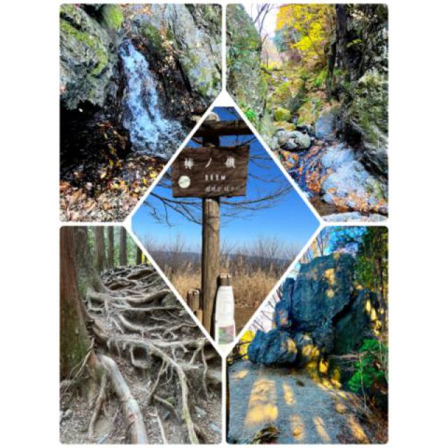 『秘密倶楽部 凛 TOKYO』錦糸町デリヘル 待ち合わせ型 人妻デリバリーヘルス純那さんの日記画像