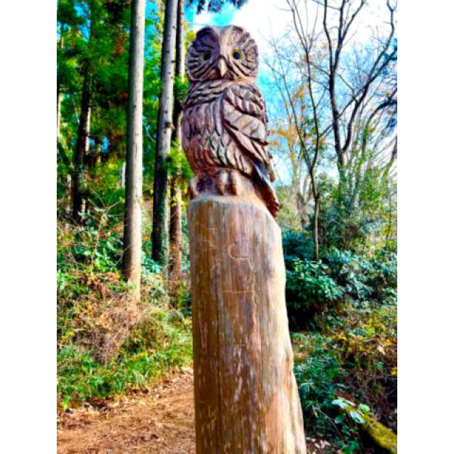 『秘密倶楽部 凛 TOKYO』錦糸町デリヘル 待ち合わせ型 人妻デリバリーヘルス純那さんの日記画像