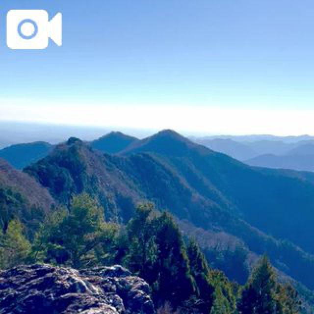 『秘密倶楽部 凛 TOKYO』錦糸町デリヘル 待ち合わせ型 人妻デリバリーヘルス純那さんの日記画像