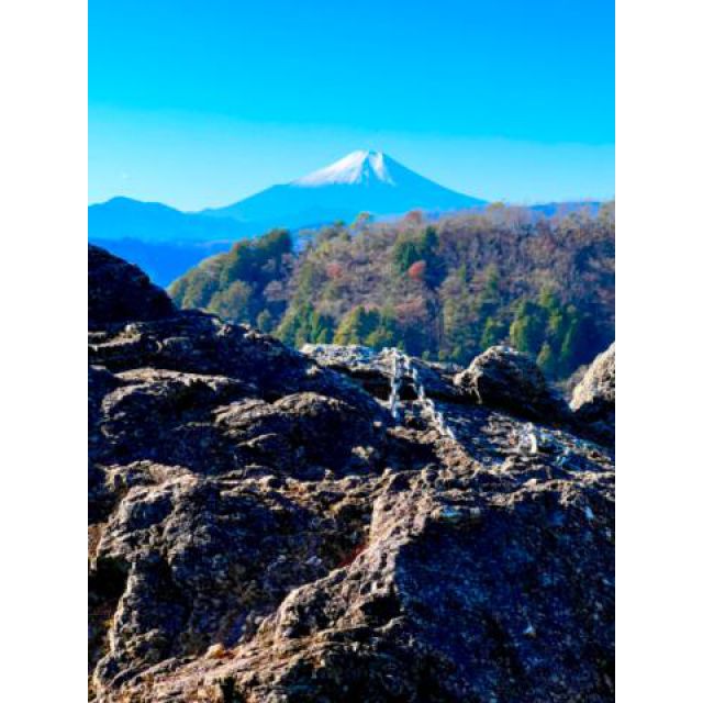 『秘密倶楽部 凛 TOKYO』錦糸町デリヘル 待ち合わせ型 人妻デリバリーヘルス純那さんの日記画像