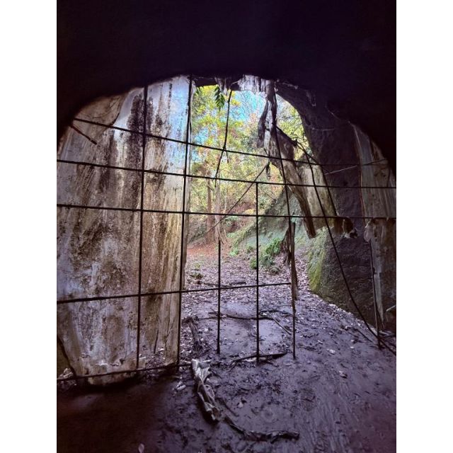 『秘密倶楽部 凛 TOKYO』錦糸町デリヘル 待ち合わせ型 人妻デリバリーヘルス純那さんの写メ日記【山の奥に残...】