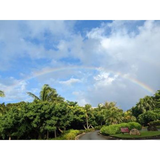 『秘密倶楽部 凛 TOKYO』錦糸町デリヘル 待ち合わせ型 人妻デリバリーヘルスちかさんの日記画像