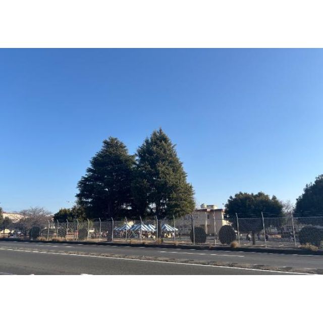 『秘密倶楽部 凛 TOKYO』錦糸町デリヘル 待ち合わせ型 人妻デリバリーヘルスちかさんの日記画像