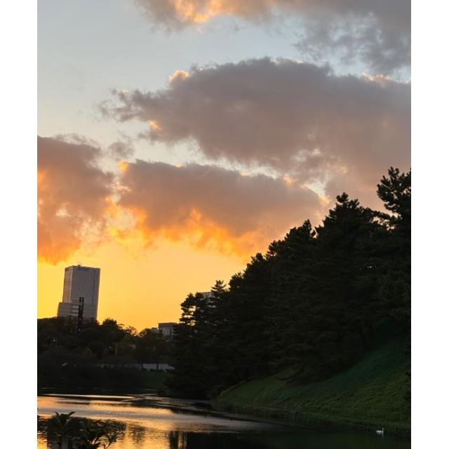 『秘密倶楽部 凛 TOKYO』錦糸町デリヘル 待ち合わせ型 人妻デリバリーヘルスちかさんの写メ日記【千鳥ヶ淵】