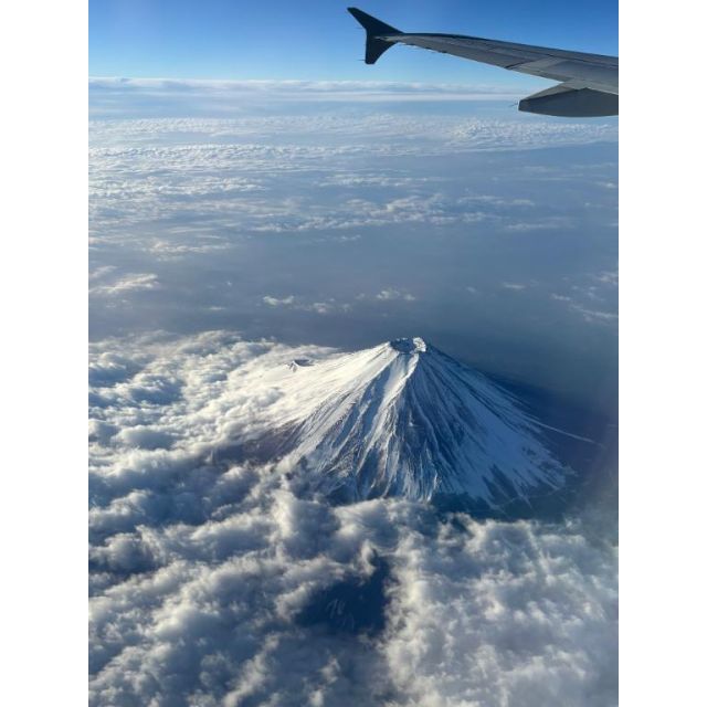 『秘密倶楽部 凛 TOKYO』錦糸町デリヘル 待ち合わせ型 人妻デリバリーヘルスみつりさんの写メ日記【ごめんなさ...】