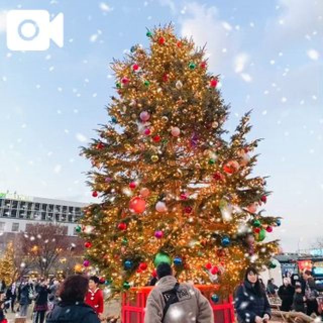 『秘密倶楽部 凛 TOKYO』錦糸町デリヘル 待ち合わせ型 人妻デリバリーヘルスみいなさんの写メ【貸切り❤️...】