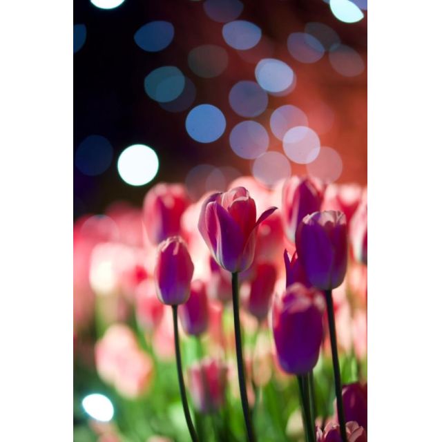 『秘密倶楽部 凛 TOKYO』錦糸町デリヘル 待ち合わせ型 人妻デリバリーヘルスみいなさんの日記画像