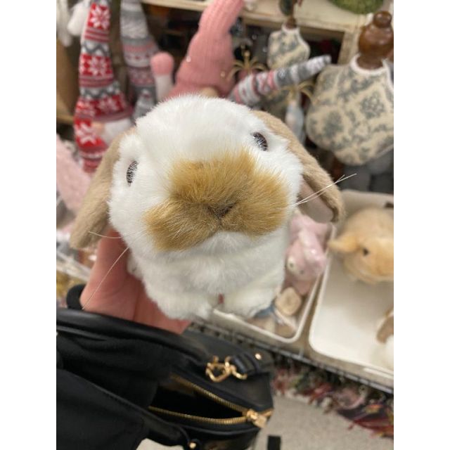 『秘密倶楽部 凛 TOKYO』錦糸町デリヘル 待ち合わせ型 人妻デリバリーヘルスみいなさんの日記画像