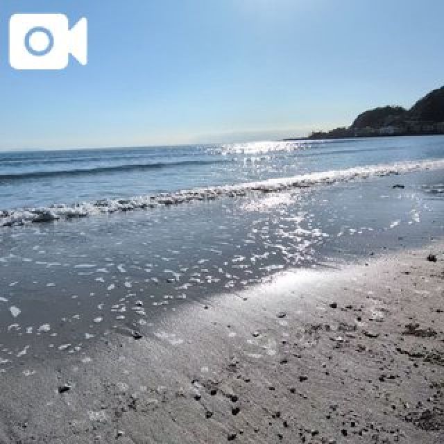 『秘密倶楽部 凛 TOKYO』錦糸町デリヘル 待ち合わせ型 人妻デリバリーヘルスららの日記【出勤決まりました♡】画像