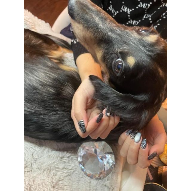 『秘密倶楽部 凛 TOKYO』錦糸町デリヘル 待ち合わせ型 人妻デリバリーヘルスSHIRONAの日記【NEWネイル】画像