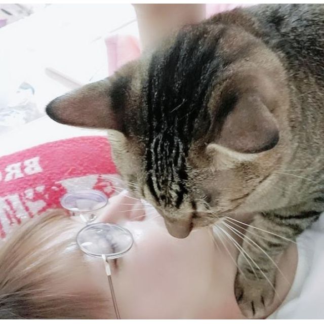 『秘密倶楽部 凛 TOKYO』錦糸町デリヘル 待ち合わせ型 人妻デリバリーヘルスここみさんの写メ【ココミの前...】