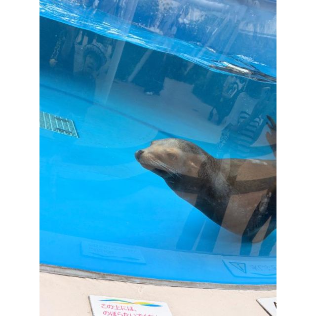 『秘密倶楽部 凛 TOKYO』錦糸町デリヘル 待ち合わせ型 人妻デリバリーヘルスみやびさんの写メ日記【明日出勤❣️】