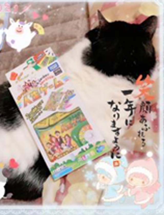 『秘密倶楽部 凛 TOKYO』錦糸町デリヘル 待ち合わせ型 人妻デリバリーヘルス純那の日記【出勤予定】画像