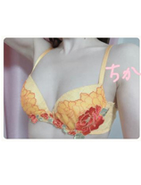 『秘密倶楽部 凛 TOKYO』錦糸町デリヘル 待ち合わせ型 人妻デリバリーヘルスちかの日記【明日以降】画像