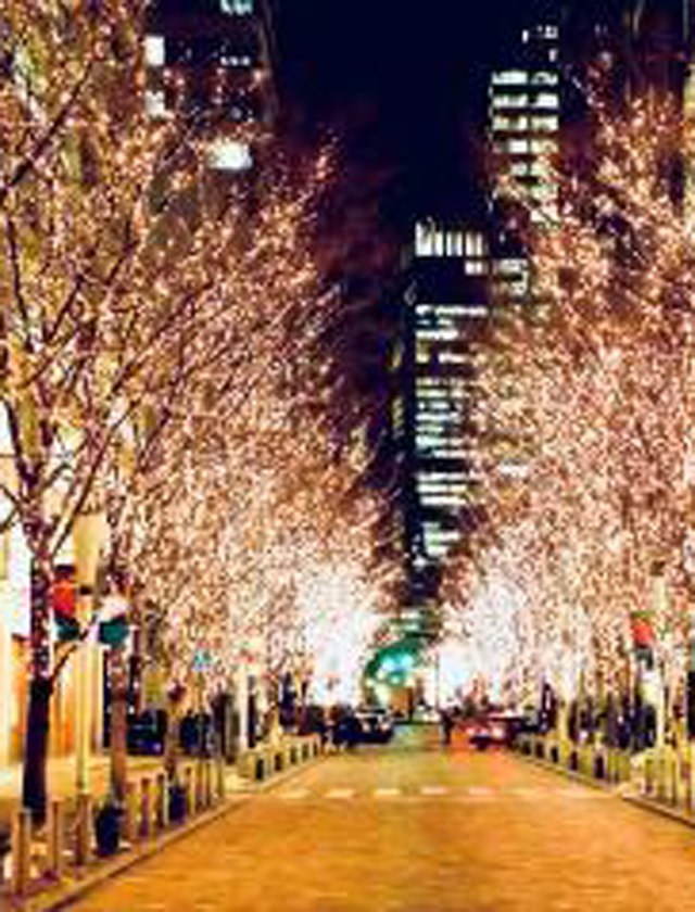 『秘密倶楽部 凛 TOKYO』錦糸町デリヘル 待ち合わせ型 人妻デリバリーヘルスちかの日記【プチ贅沢】画像