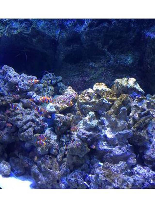 『秘密倶楽部 凛 TOKYO』錦糸町デリヘル 待ち合わせ型 人妻デリバリーヘルスちかさんの日記画像