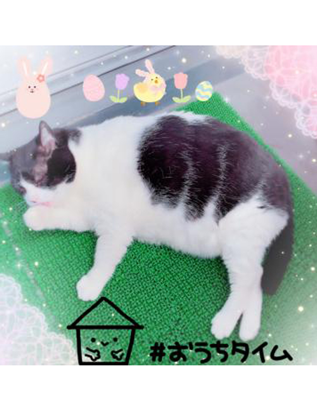 『秘密倶楽部 凛 TOKYO』錦糸町デリヘル 待ち合わせ型 人妻デリバリーヘルス純那の日記【チミとの時間】画像
