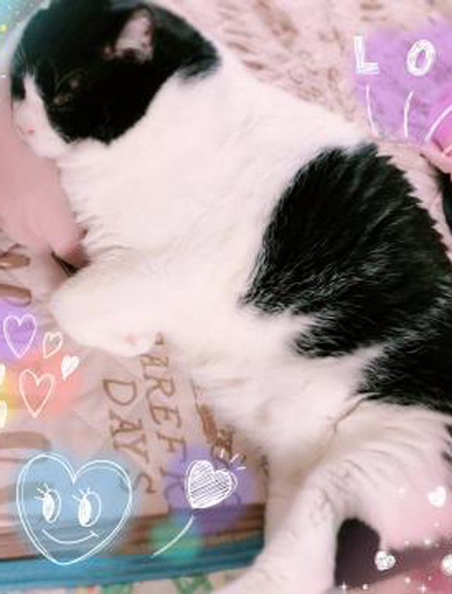 『秘密倶楽部 凛 TOKYO』錦糸町デリヘル 待ち合わせ型 人妻デリバリーヘルス純那の日記【明日から】画像