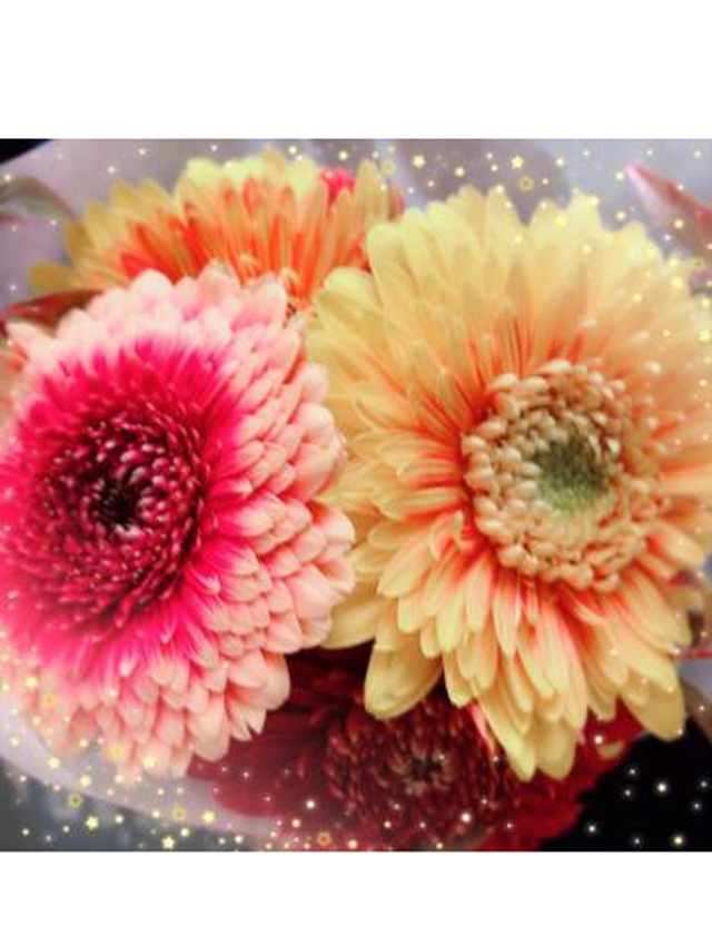 『秘密倶楽部 凛 TOKYO』錦糸町デリヘル 待ち合わせ型 人妻デリバリーヘルス純那さんの日記画像